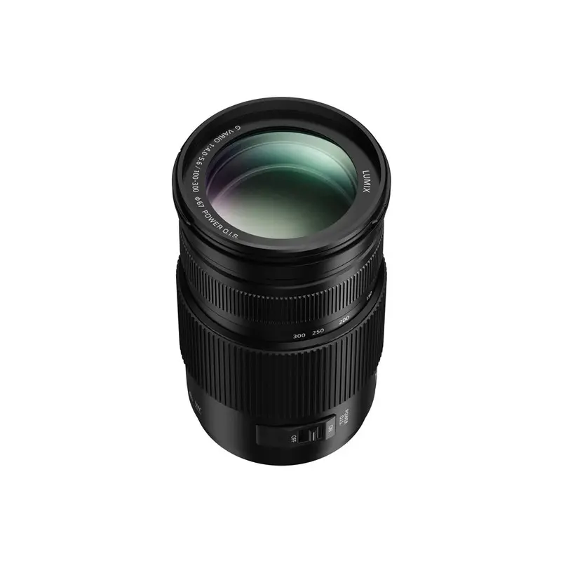 Panasonic Lumix G Vario 100-300mm, f/4.0-5.6, OIS, Micro Four Thirds Lens