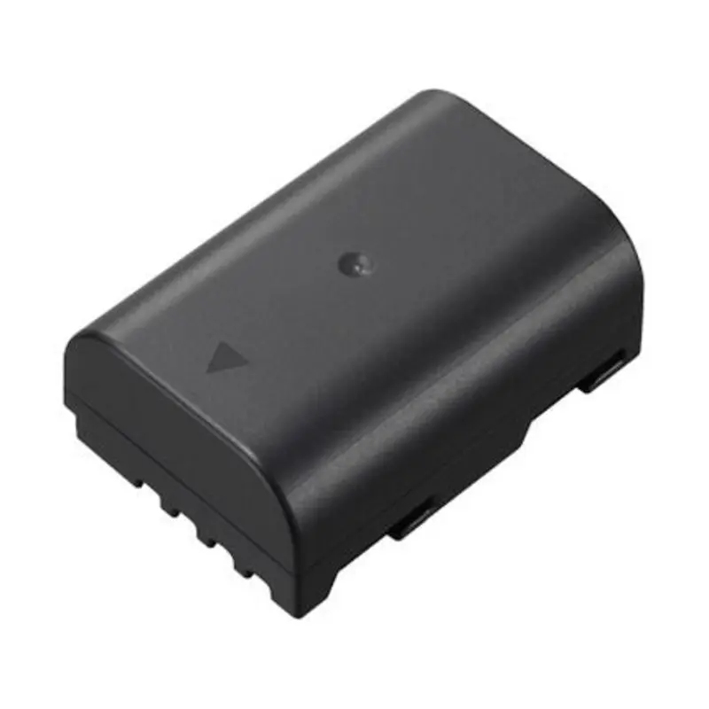 Panasonic DMW-BLF19 Rechargeable Lithium-Ion Battery Pack