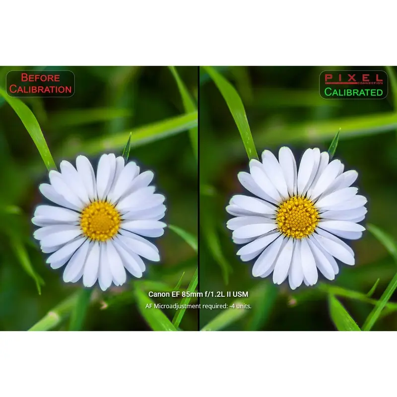 Pixel Connection Lens Calibration