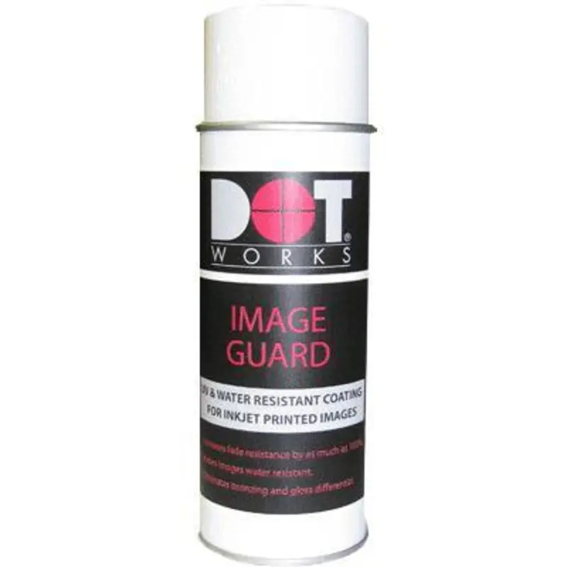 Image Guard Fine Art Spray (400ml)