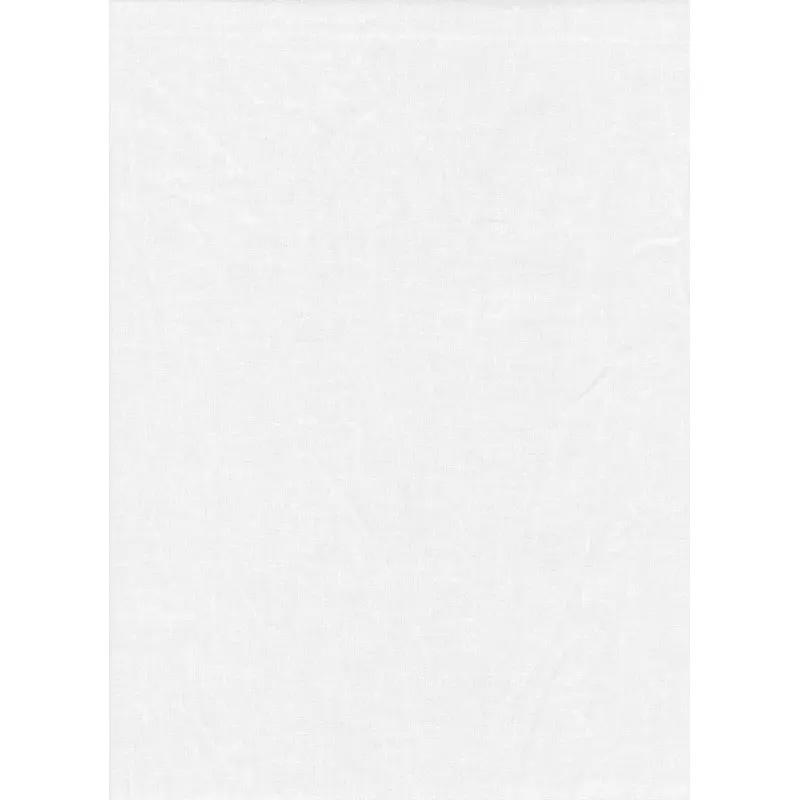 ProMaster 12' Solid Backdrop (White)