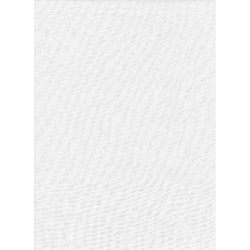 ProMaster Solid  Backdrop - 20' (White)