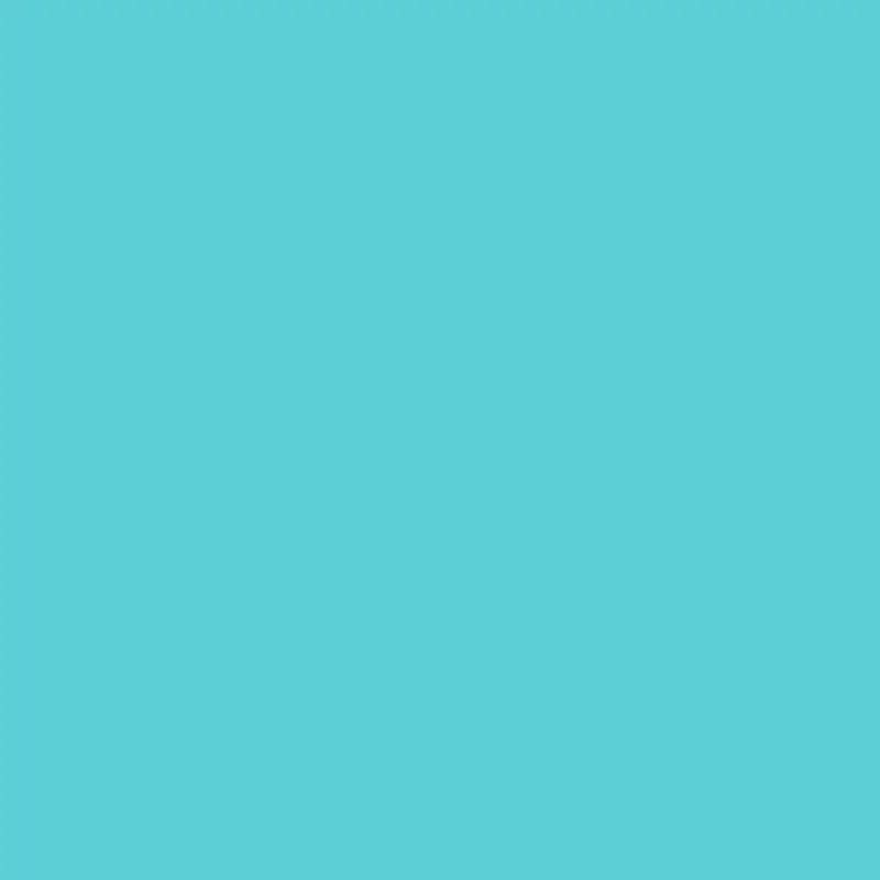 Superior Seamless Background Paper - 107'' X 36 ft - ALPINE