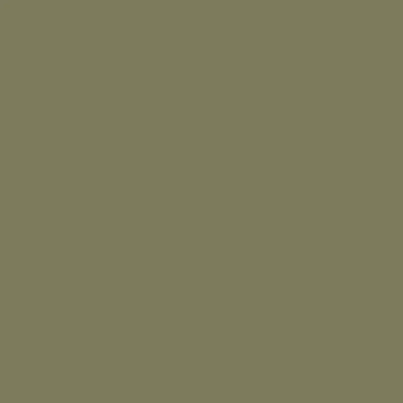 Superior Seamless Background Paper - 53'' x 36 ft - Leaf (Core)