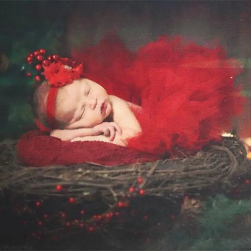 Westcott Deluxe Holiday Newborn Portrait Bundle (3-6 Months)