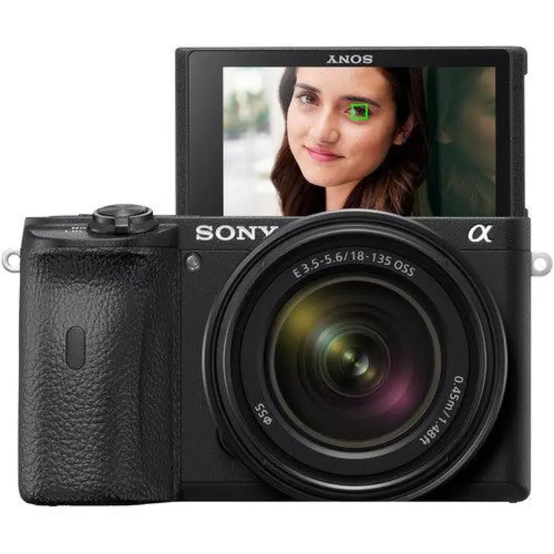 Sony a6600 Mirrorless Digital Camera with 18-135mm Lens