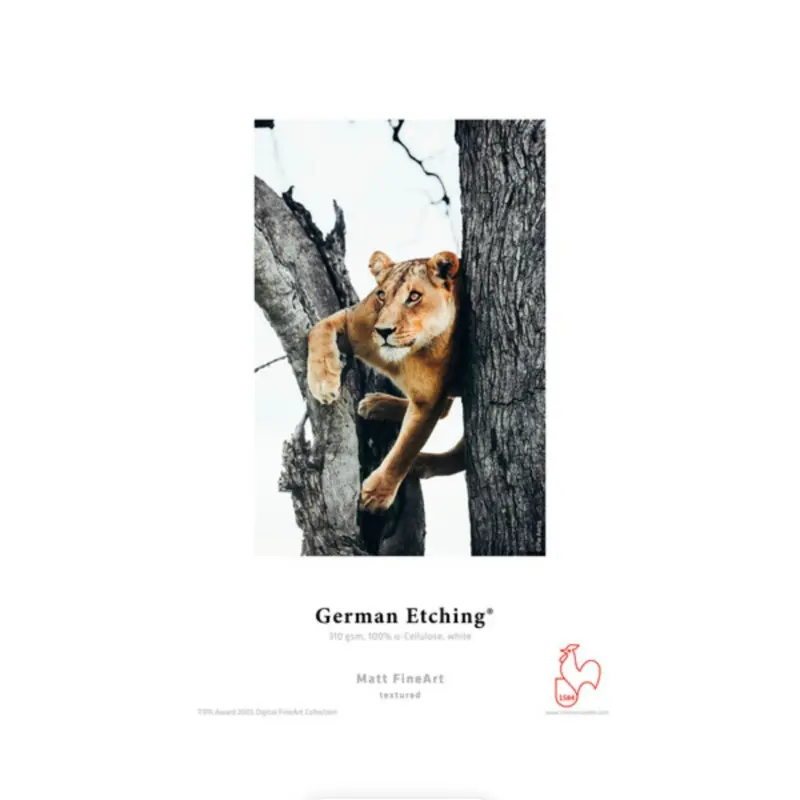 Hahnemuhle German Etching Paper 8.5 x 11'' - 25 Sheets