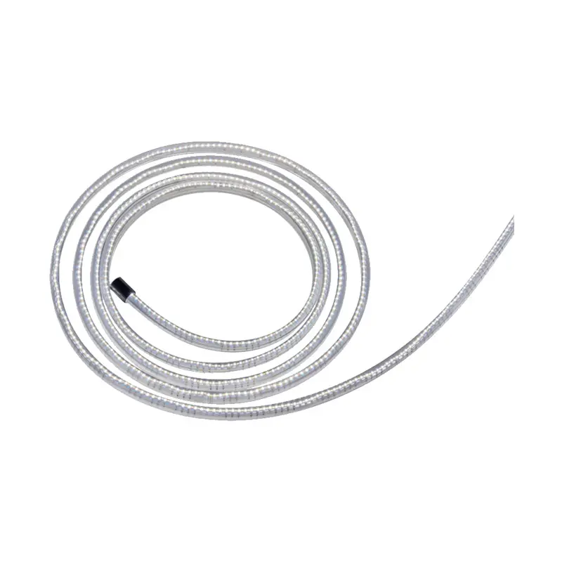 Sun Dragon with Diffuser (5m, White)