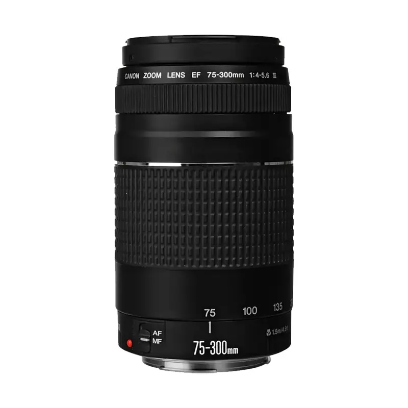 Canon EF 75-300mm f/4-5.6 III Lens