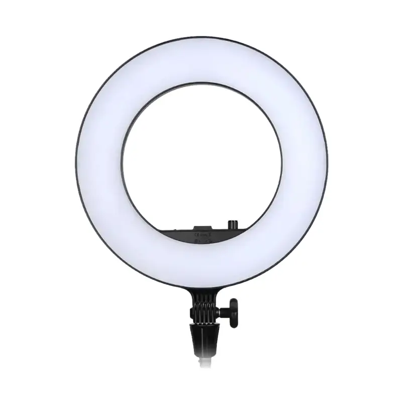 Godox LR180 Daylight Ringlight (Black)