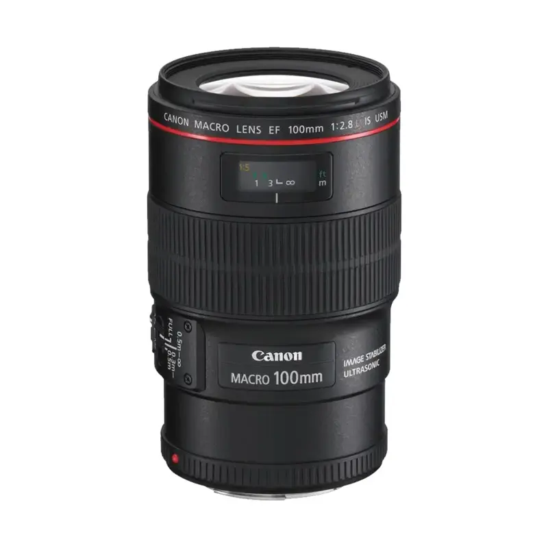 Rental: Canon EF 100mm f/2.8 L IS USM Macro Lens