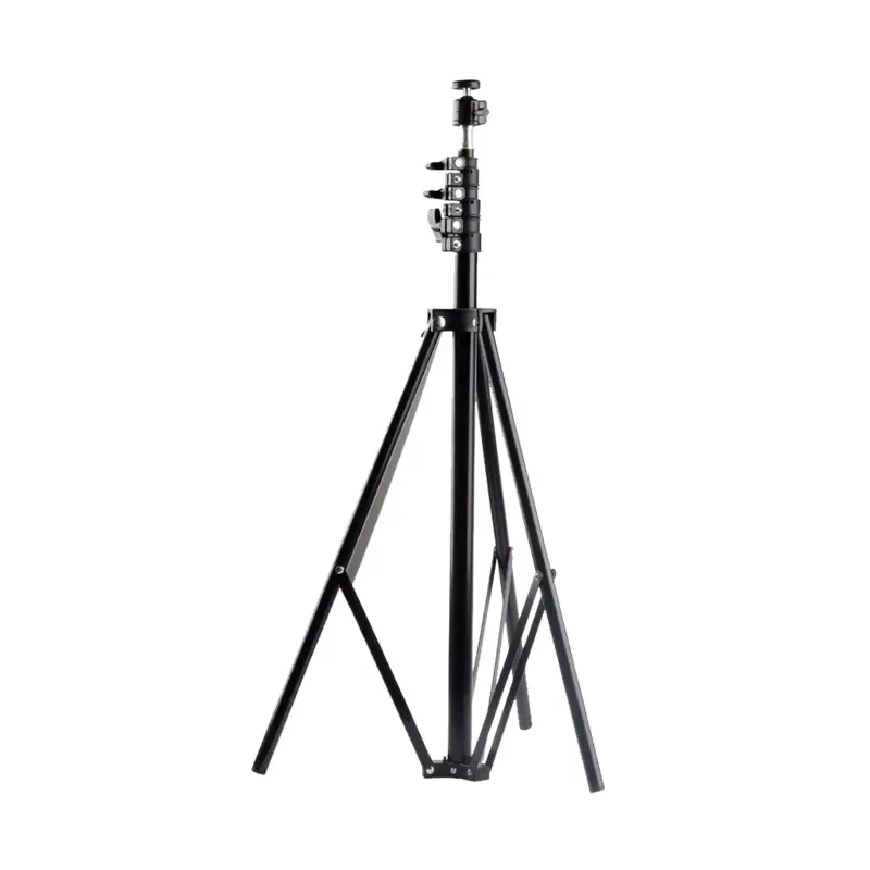 Rental: Light Stand