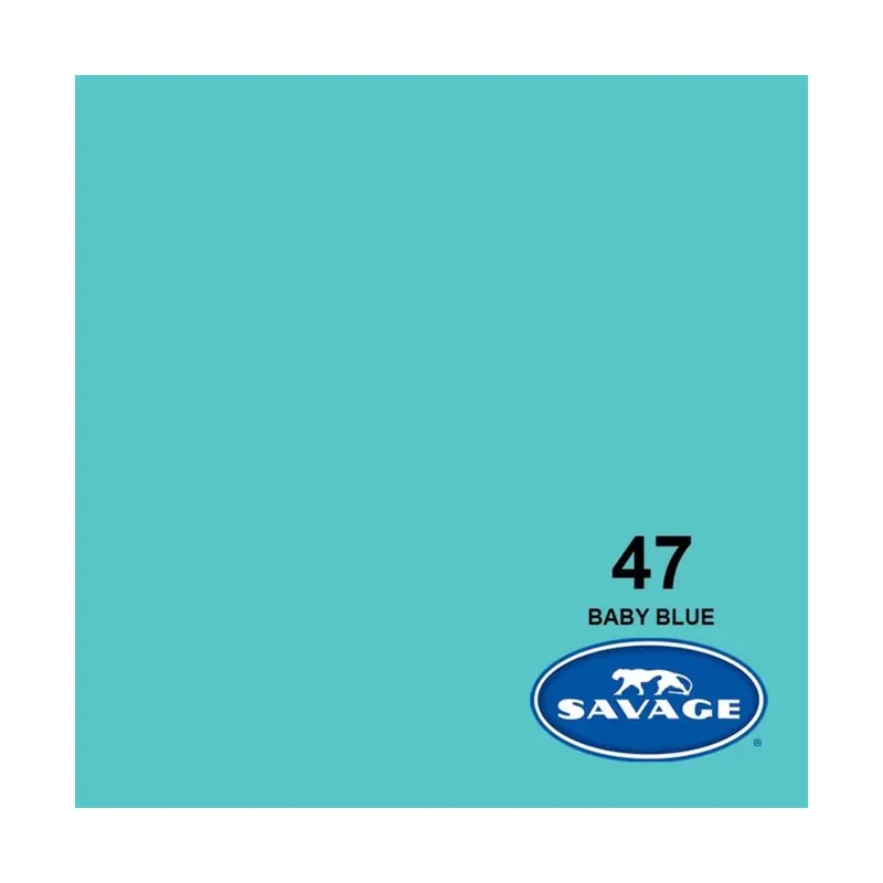 Rental: Savage Background Paper Baby Blue 47