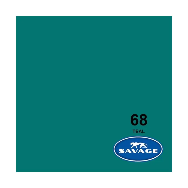 Rental: Savage Background Paper Teal 68