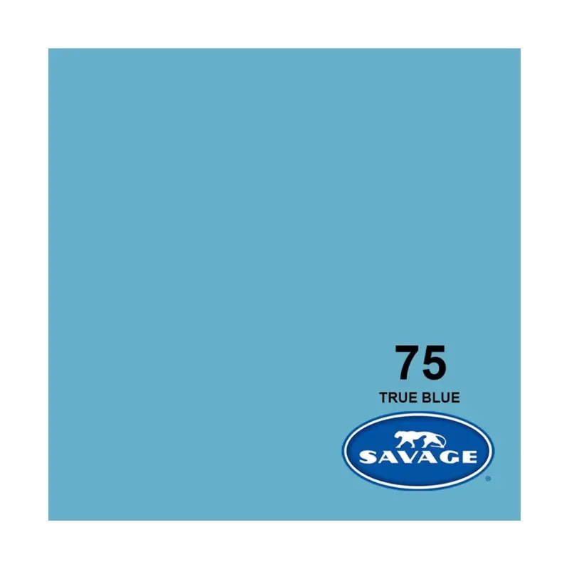 Rental: Savage Background Paper True Blue 75