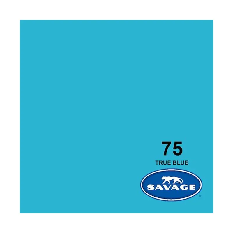 Savage Background Paper True Blue 75 (2.72m x 11m)