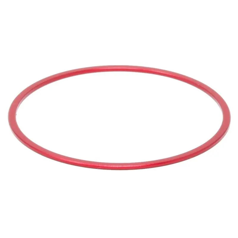 PrimaLuceLab 1mm M48 Spacer