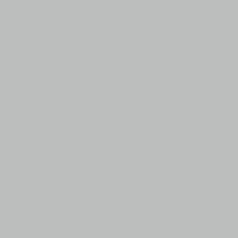 Savage 53" x 36" #14 Gray Sky BSeamless Background Paper