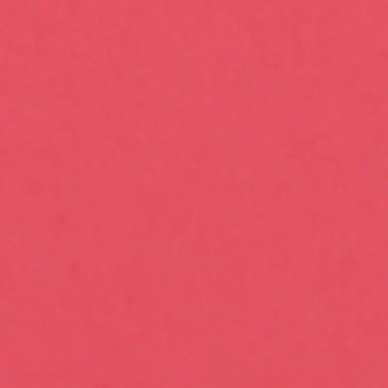 Savage 53" x 36' #92 Flamingo Seamless Background Paper