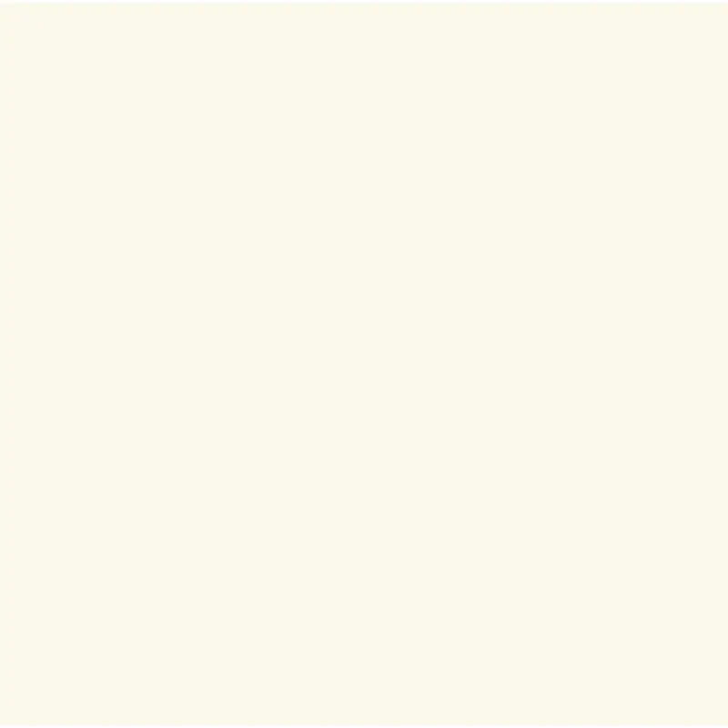 Savage 86"x36' #50 Warm White Seamless Background Paper