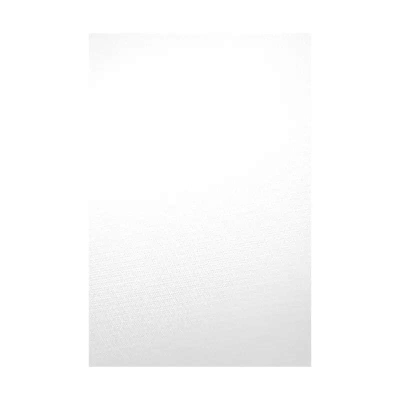Savage 5 x 12' Infinity Vinyl Background (White)