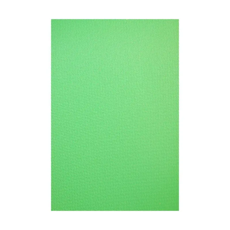 Savage 5 x 12' Infinity Vinyl Chroma Green Background