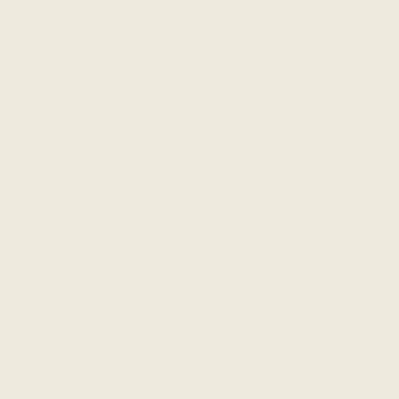 Savage 53" x 36' #12 Studio Gray Seamless Background Paper