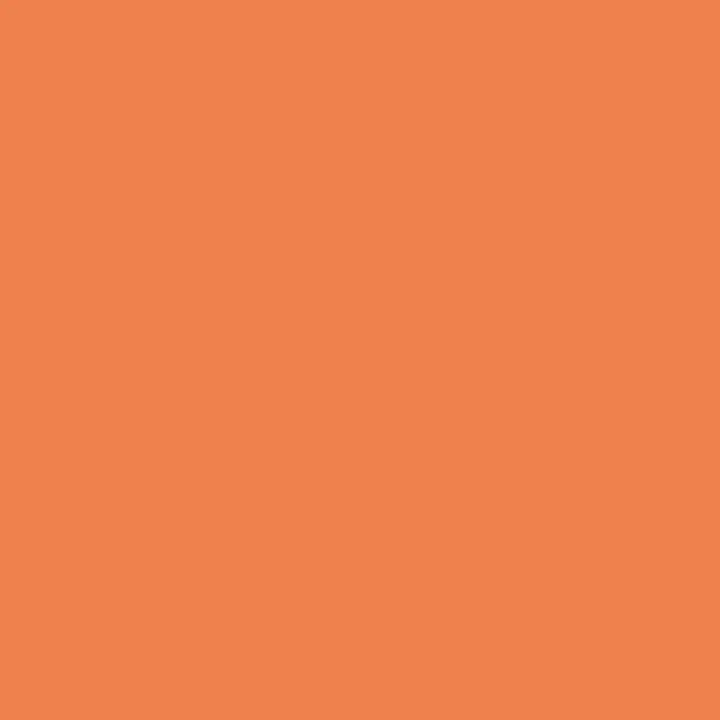 Savage 53" x 36' #24 Orange Seamless Background Paper