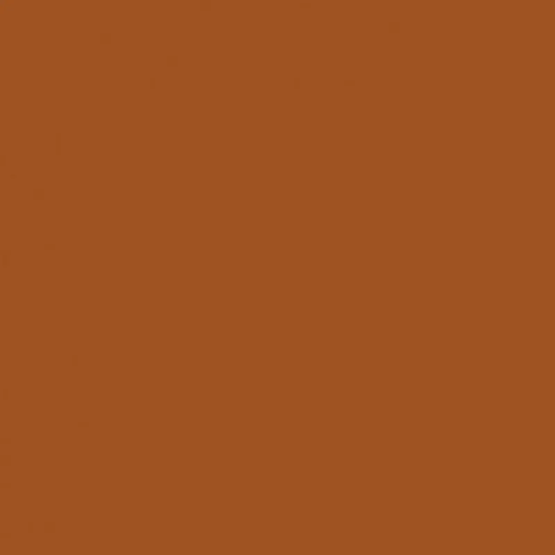 Savage 107" x 36' #17 Sienna Seamless Background Paper