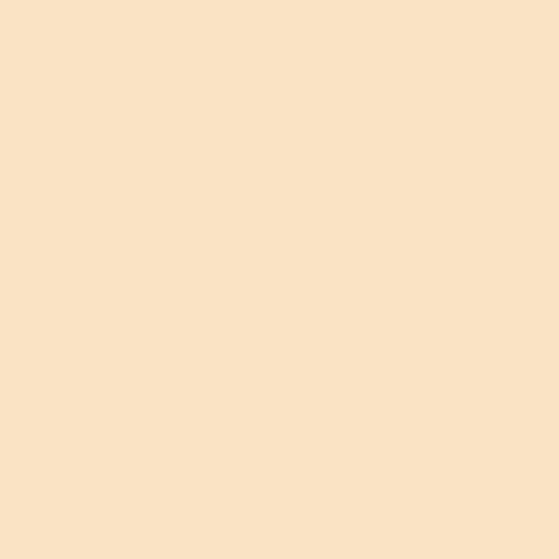 Savage 107" x 36' #19 Egg Nog Seamless Background Paper