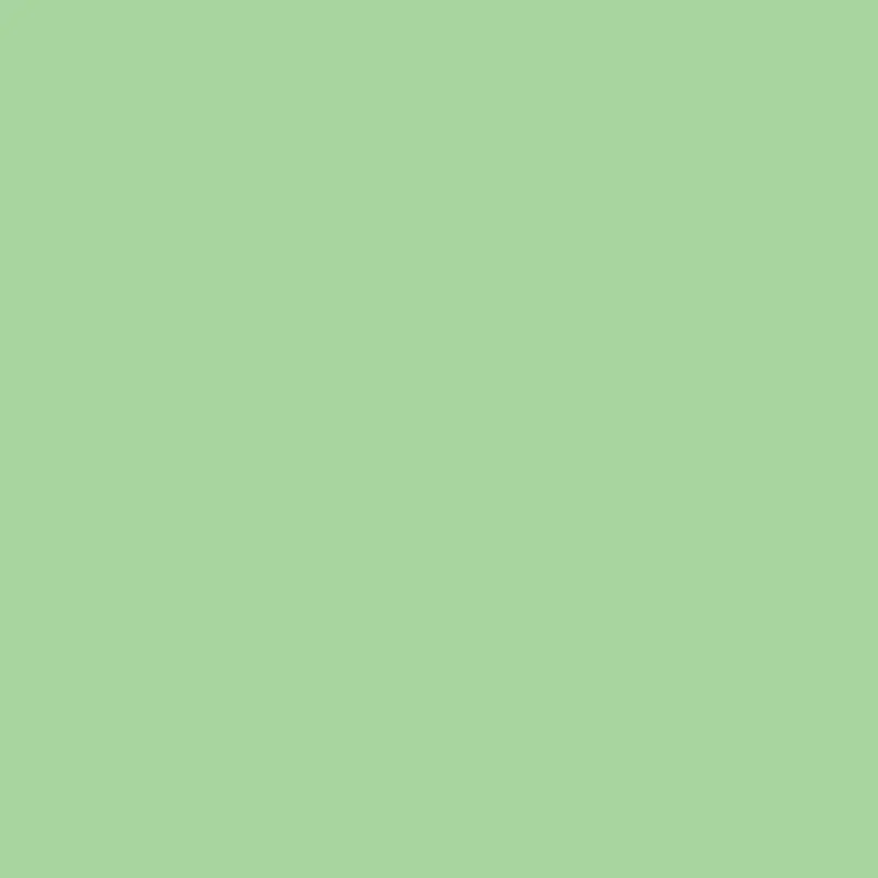 Savage 107" x 36' #40 Mint Green Seamless Background Paper