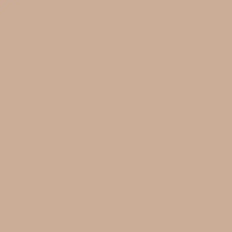 Savage 107" x 36' #53 Pecan Seamless Background Paper