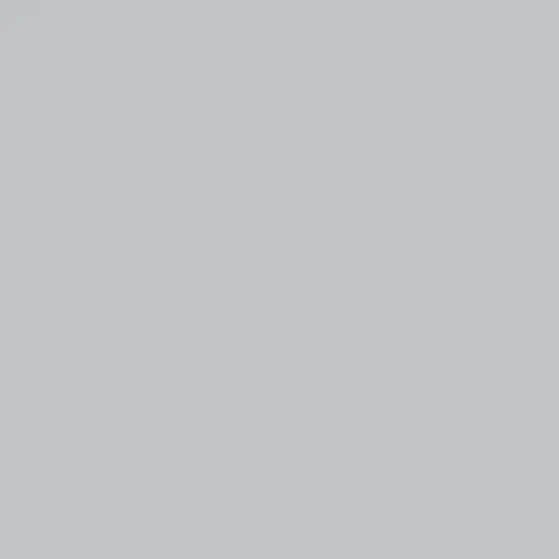 Savage 107" x 36' #57 Gray Tint Seamless Background Paper