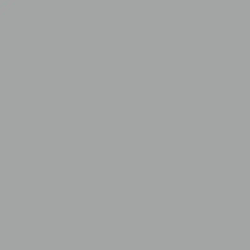 Savage 107" x 36' #70 Storm Gray Seamless Background Paper