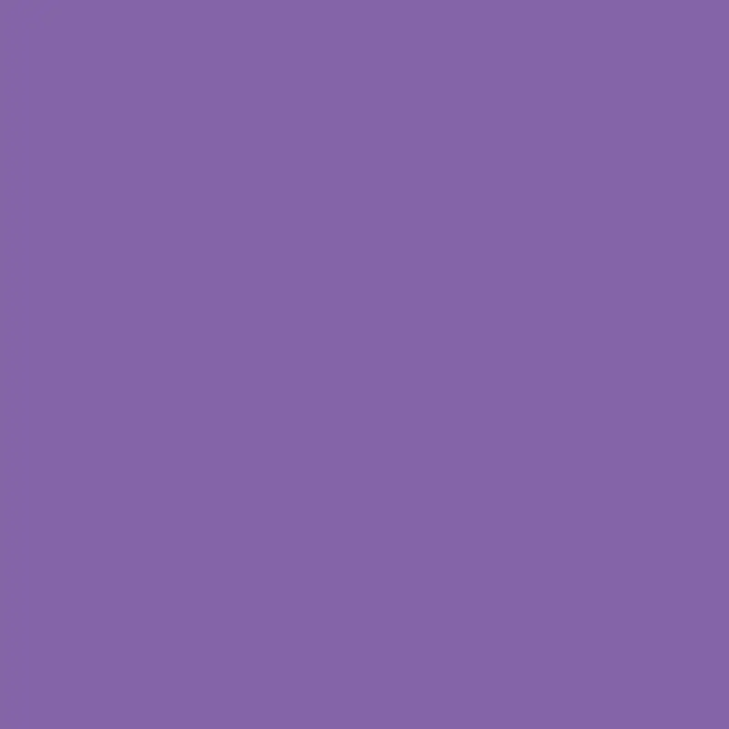 Savage 53" x 36' #62 Purple Seamless Background Paper