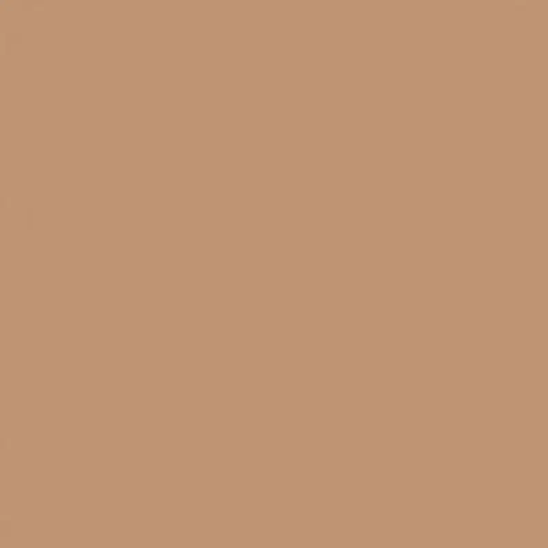 Savage 53" x 36' #76 Mocha Seamless Background Paper