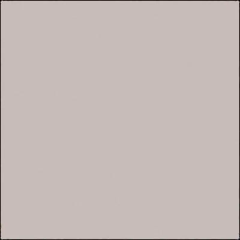 Savage 53"x36' #61 TV Gray Seamless Background Paper