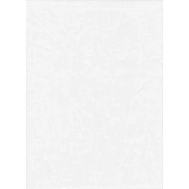 Promaster 1898 10'x20' White Poly Cotton Backdrop