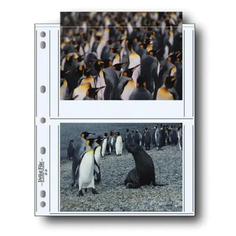 Print File 57-4P Archival Storage Page for 4 Prints (5 x 7", 100-Pack)