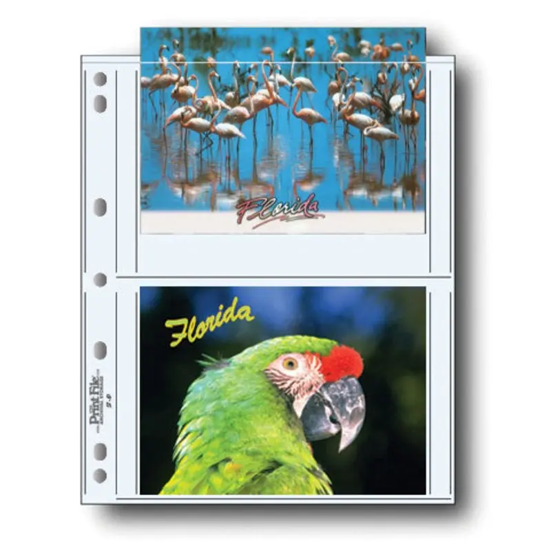 PRINT FILE 5X7-4/25 PRINT PRESERVERS