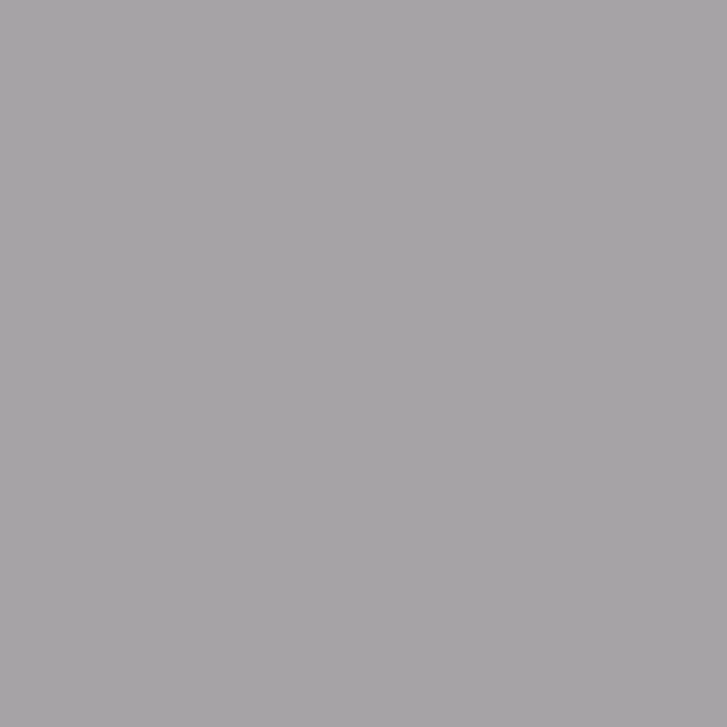 Savage 107" x 36' #74 Smoke Gray Seamless Background Paper